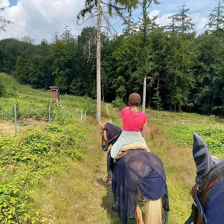 Geraeumiges Im Teutoburger Wald
