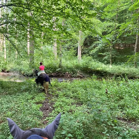 Geraeumiges Im Teutoburger Wald