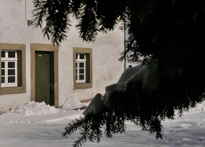 Geraeumiges Im Teutoburger Wald 席德尔·施瓦伦贝尔