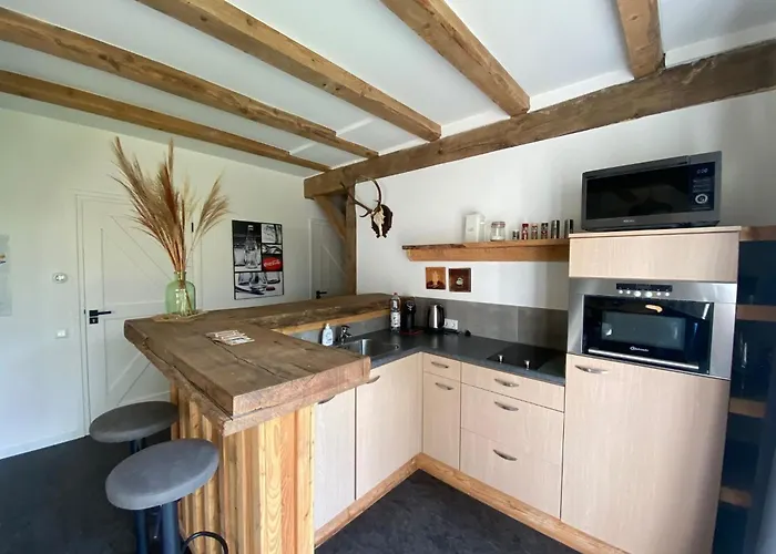 Geraeumiges Im Teutoburger Wald 席德尔·施瓦伦贝尔