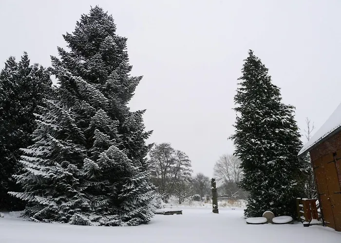 Geraeumiges Im Teutoburger Wald