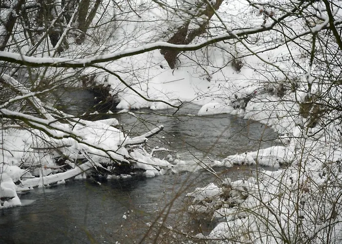 Lejlighed Geraeumiges Im Teutoburger Wald *