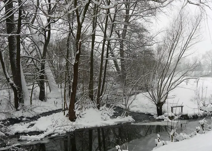 Lejlighed Geraeumiges Im Teutoburger Wald *