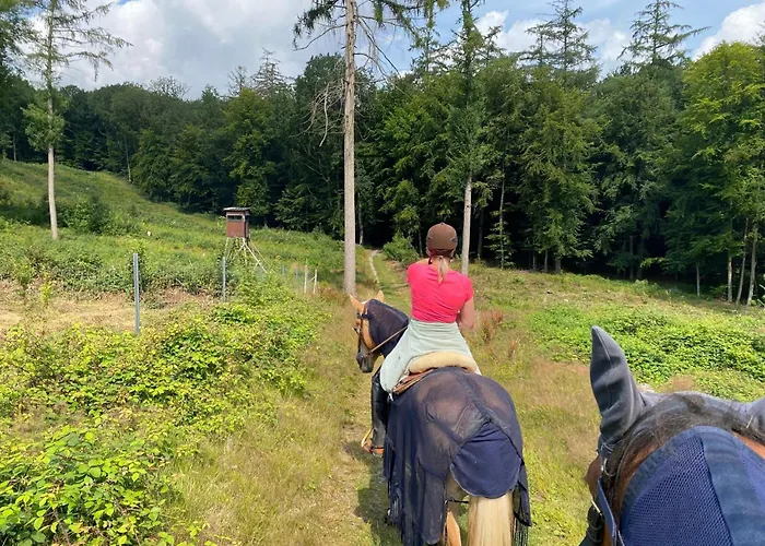 Geraeumiges Im Teutoburger Wald