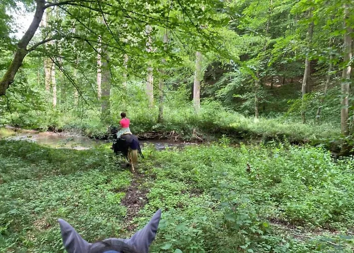 Lejlighed Geraeumiges Im Teutoburger Wald